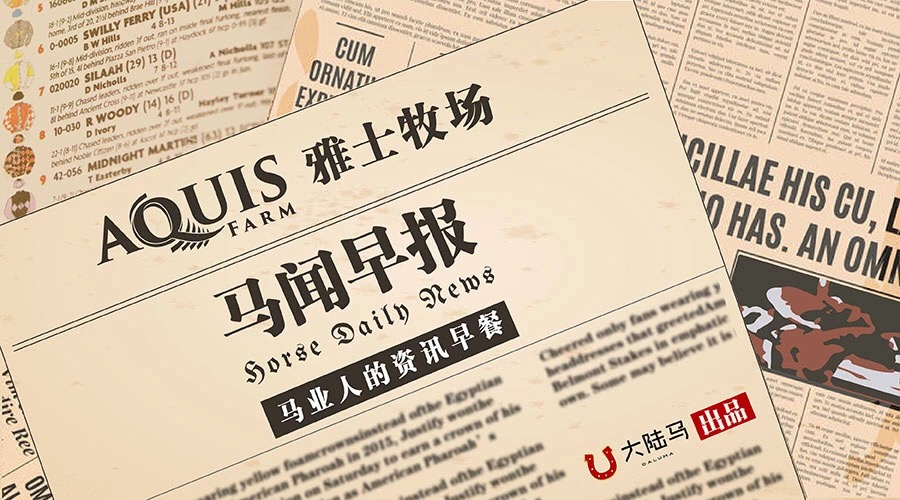 新澳2025精准正版免费与2025澳门特马网站www,词语释义、解释和落实和警惕虚假宣传